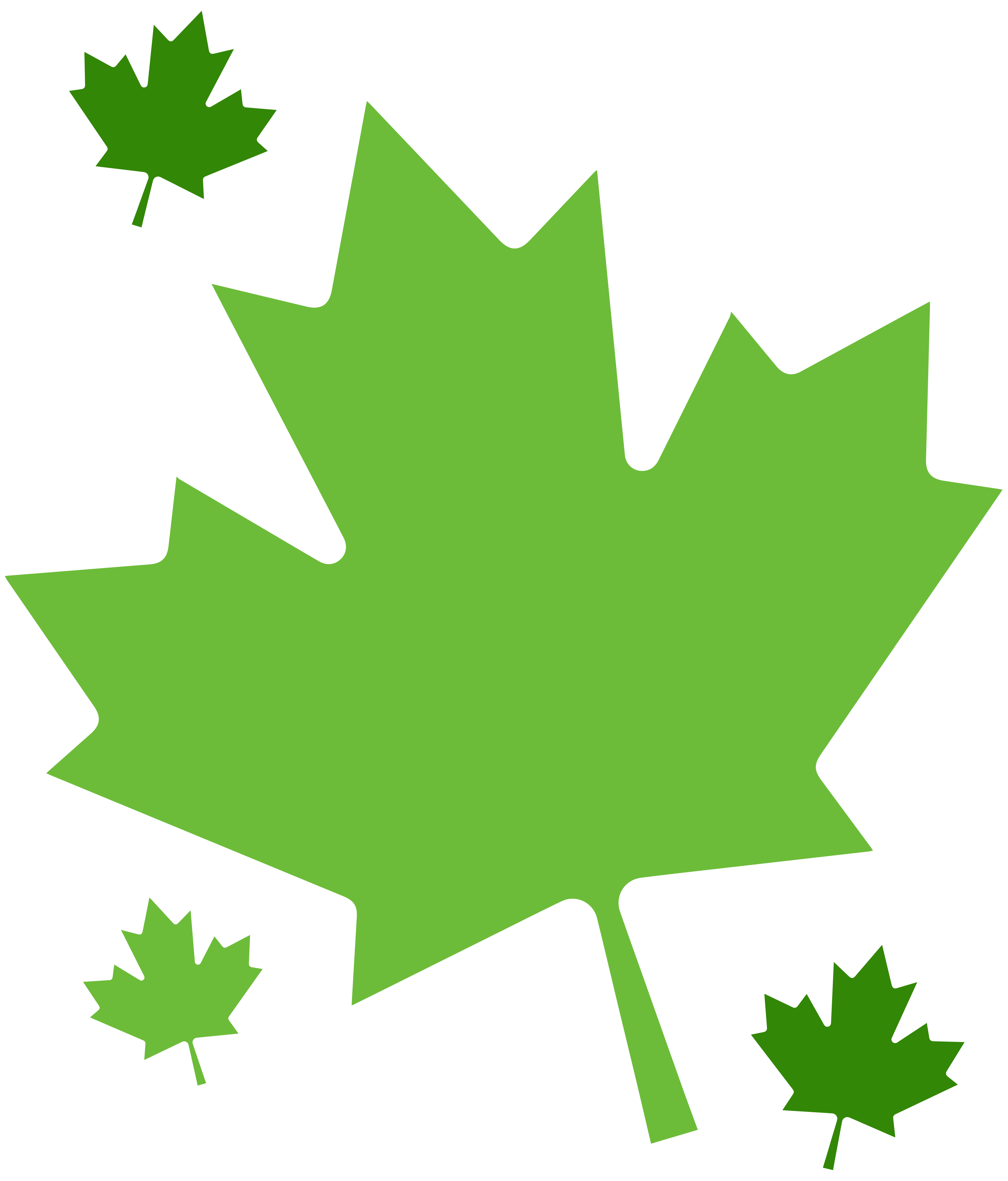 COMP - Green Leaves